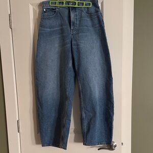 Cute Everlane The Way High barrel jeans. Size 28. Worn 2x. Final mark down